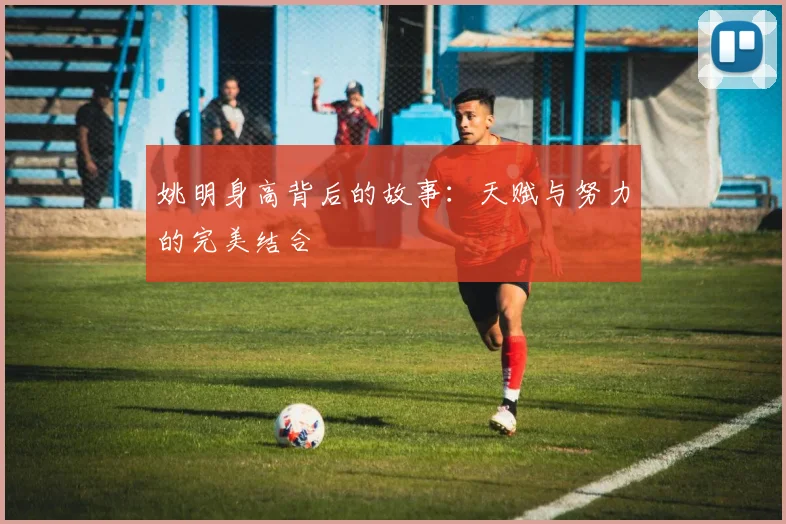 姚明身高背后的故事：天赋与努力的完美结合